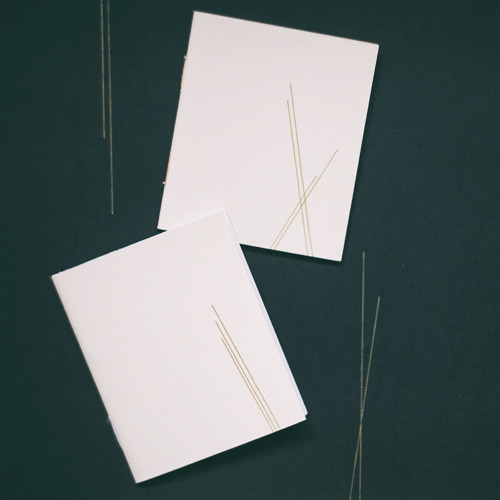 Notebooks Straight Lines vol. 3 — foto 1