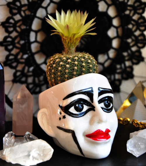 Květníček - Siouxsie and the Banshees — foto 1