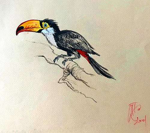 Fauna... — foto 1