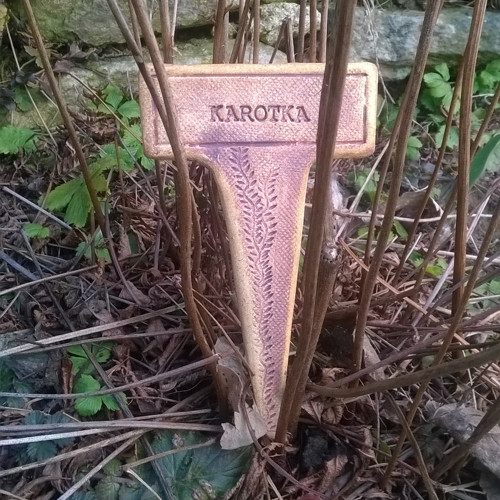 Karotka - zápich do záhonu