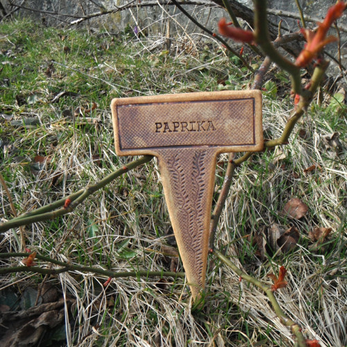 Paprika - zápich do záhonu