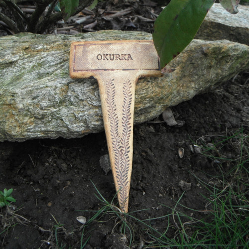 Okurka - zápich do záhonu
