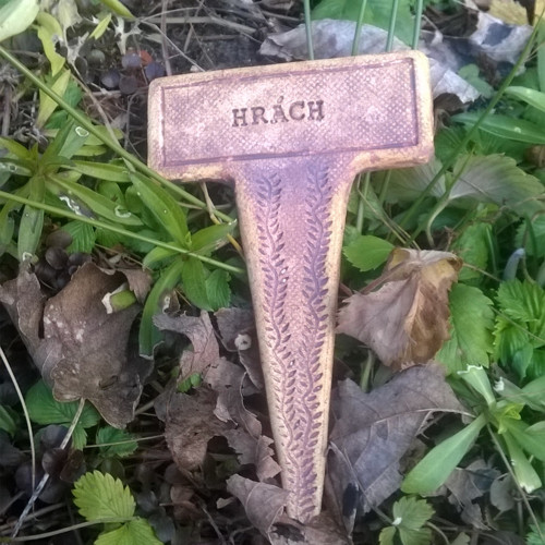 Hrách - zápich do záhonu