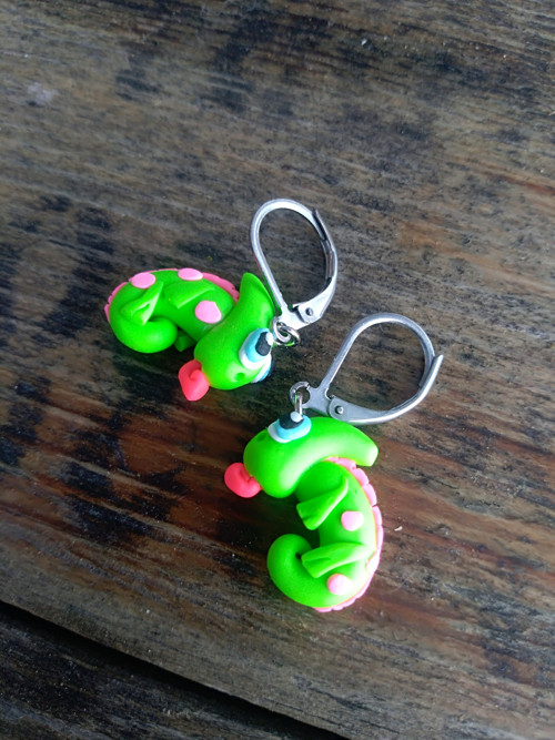 Chameleonci — foto 1