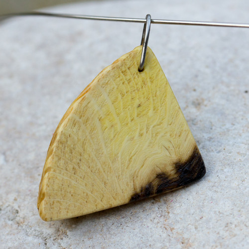Plaménkovník