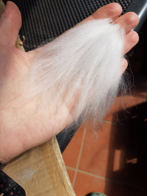 Angora srst