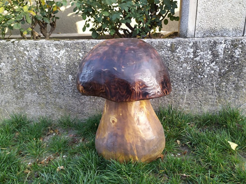 Velký hříbek — foto 1