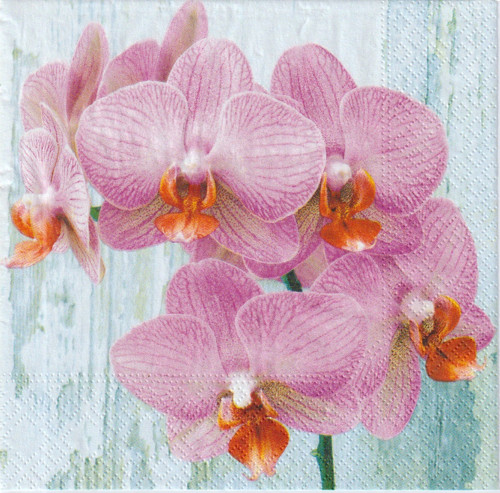 Ubrousek - růžová orchidej — foto 1