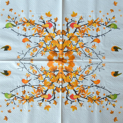Ptáčci X. — foto 1