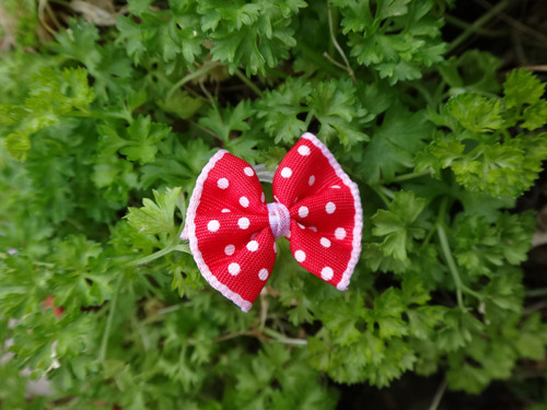 Mini mašlička — foto 1