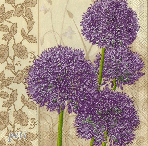 Ubrousek allium — foto 1