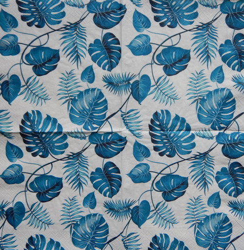 Monstera blue 2866
