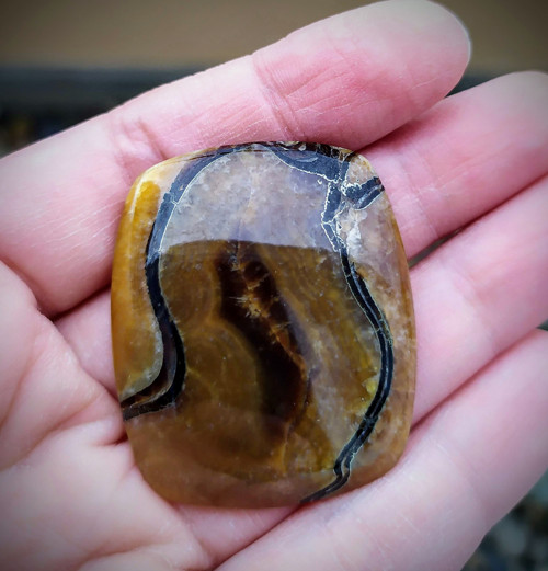Amonitový Simbircite, ID 099, 39x34mm — foto 1