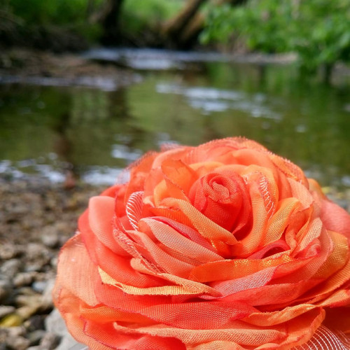 Orange — foto 1