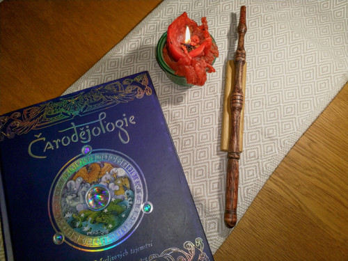 Kouzelnická hůlka — foto 1