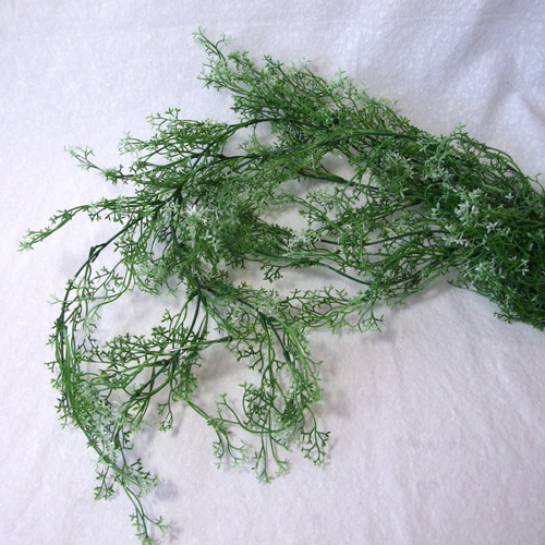 Převislý kopr, 80 cm — foto 1