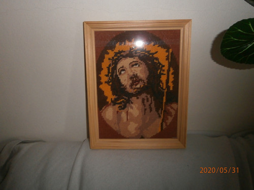 Obrázek — foto 1