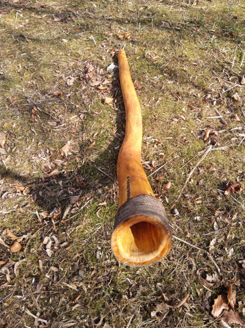 Didgeridoo - Višeň D# dis-short