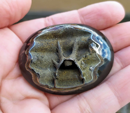 Simbircito-amonitová geoda, ID 758, 48x37 mm