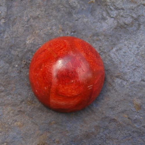 Korál, kabošon 2,2 cm, č.2219 — foto 1