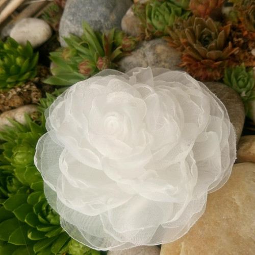 White — foto 1