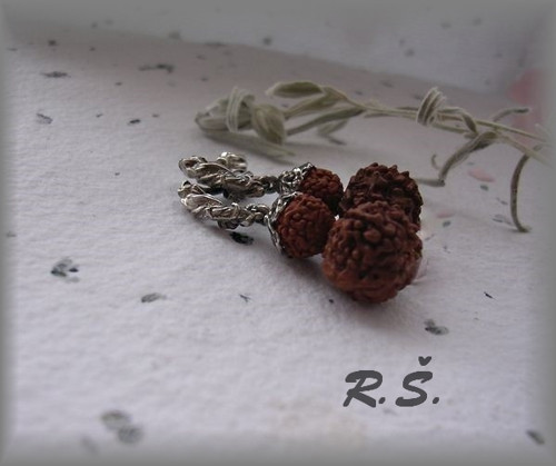 PŘÍRODNÍ ... Rudraksha 8 + 14 mm ....ŠROUBKY