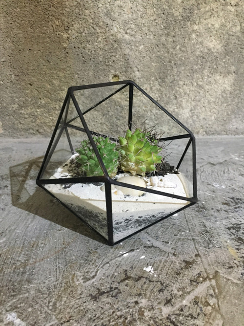 Florarium "Koulička "