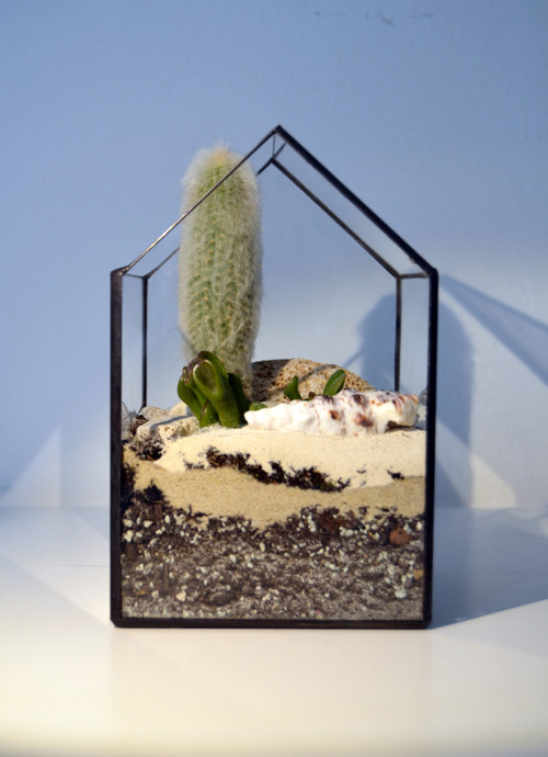 Florarium "Domeček úzký "