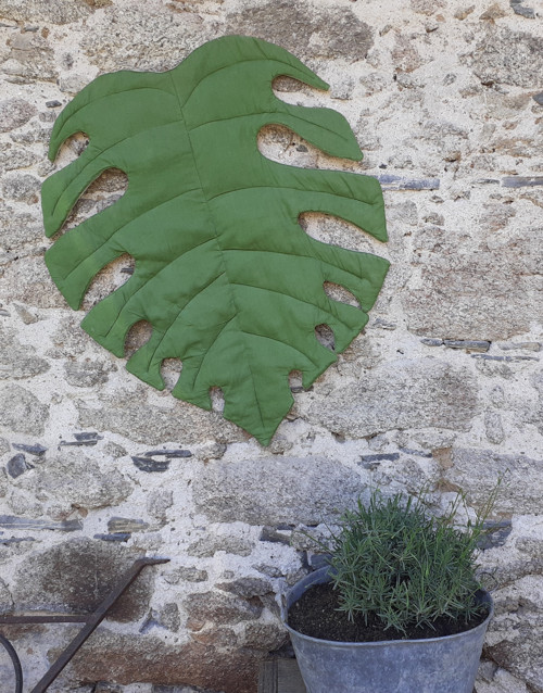 Monstera — foto 1