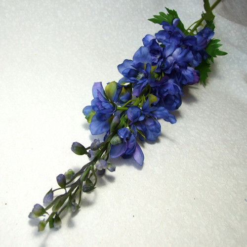 Ostrožka modrá, 79 cm — foto 1