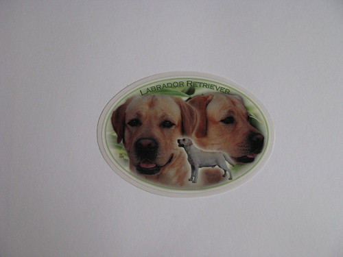 Samolepka s labradorem