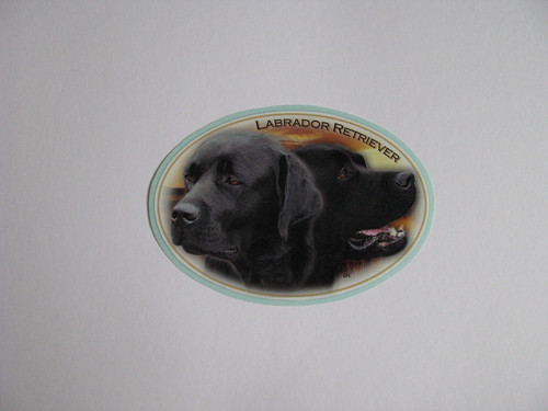 Samolepka s labradorem