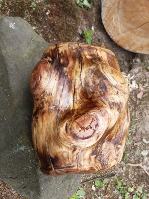Sukovité pozvání do přírody — foto 1