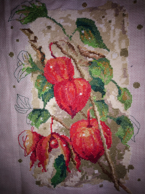 Mochyně — foto 1
