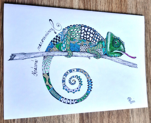 Narozeninové přání - chameleon — foto 1