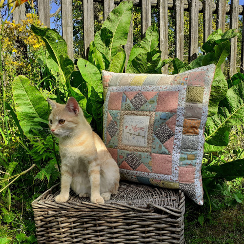 Ať má Anni radost :-) - polštářek — foto 1