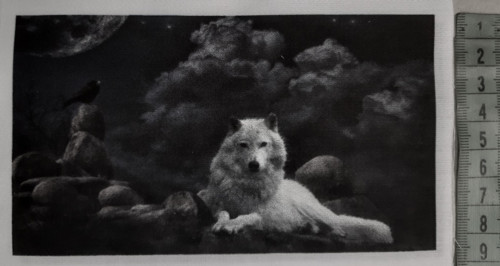 Bavlněný panel 8 x 15 cm