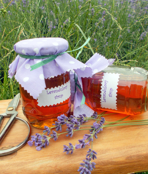 Levandulový sirup, 420 gramů — foto 1