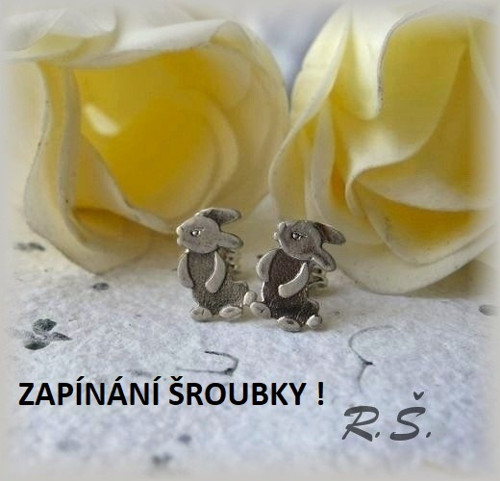 NAŠI BORCI ... drobounké naušničky ... ŠROUBKY