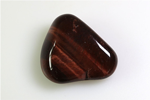 Býčí oko 3,2 cm — foto 1