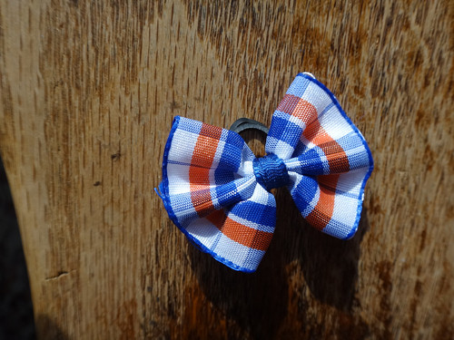 Mašlička na gumičce — foto 1