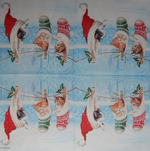 Kotě v zimní říši 3012 — foto 1
