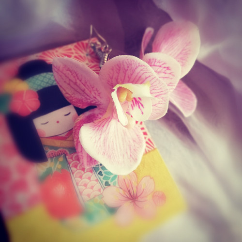 Orchidee — foto 1