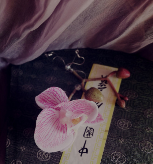 Orchidee asymetrické
