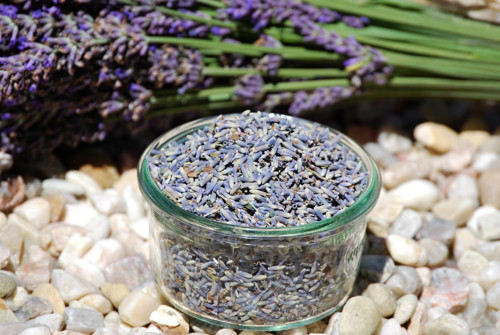 Květina levandulové Sušená levandule 2025 / od valpurga | Fler.cz