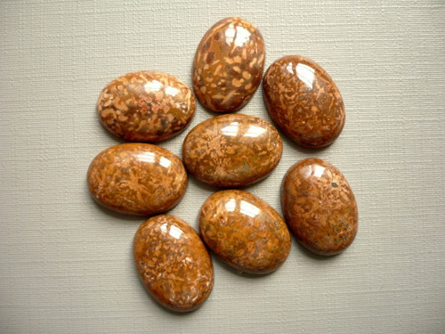 Kabošon - jaspis pavoučí 18 mm