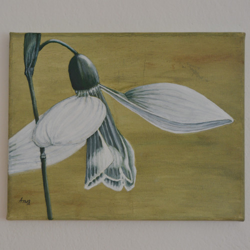 Sněženka -olej na plátně, originál 30 x 24cm