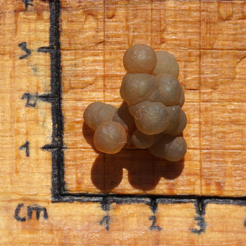 Skulptura z chalcedonu