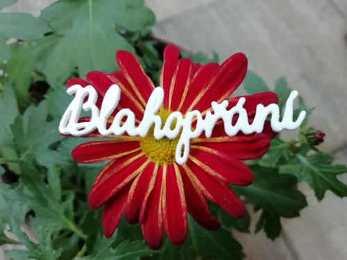 BLAHOPŘÁNÍ z pěnovky - bílé (5 ks)
