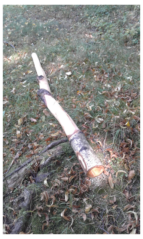 Didgeridoo - Březové Cisko 2020 — foto 1